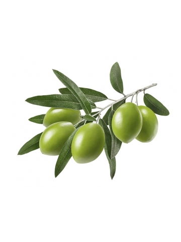 Ekstrakt z liści drzewa oliwnego Benolea (60 kapsułek) - suplement diety