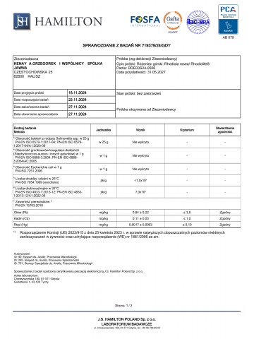 Różeniec górski /Rhodiola rosea/ Rhodiolife® (60 kapsułek) - suplement diety