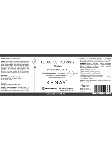 Ostropest plamisty z Siliphos® (60 kapsułek) - suplement diety