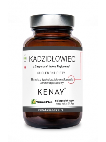 Kadzidłowiec z Casperome® Indena Phytosome® (60 kapsułek) - suplement diety