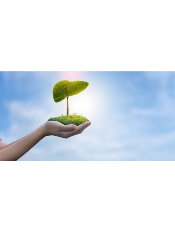 Ostropest plamisty z Siliphos® (60 kapsułek) - suplement diety