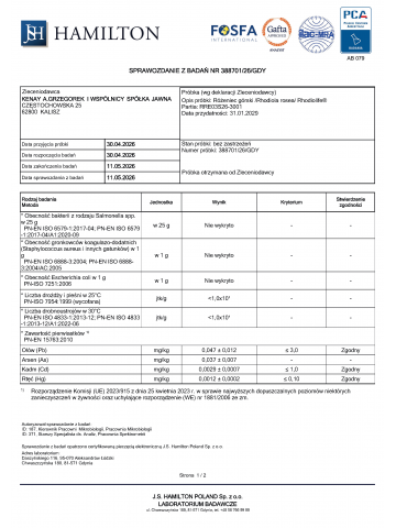 Różeniec górski /Rhodiola rosea/ Rhodiolife® (60 kapsułek) - suplement diety